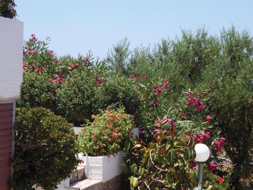 Villas Michalis Chorafakia Exterior foto