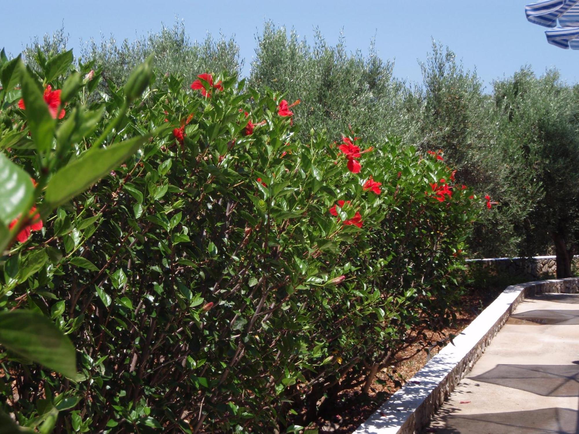 Villas Michalis Chorafakia Exterior foto