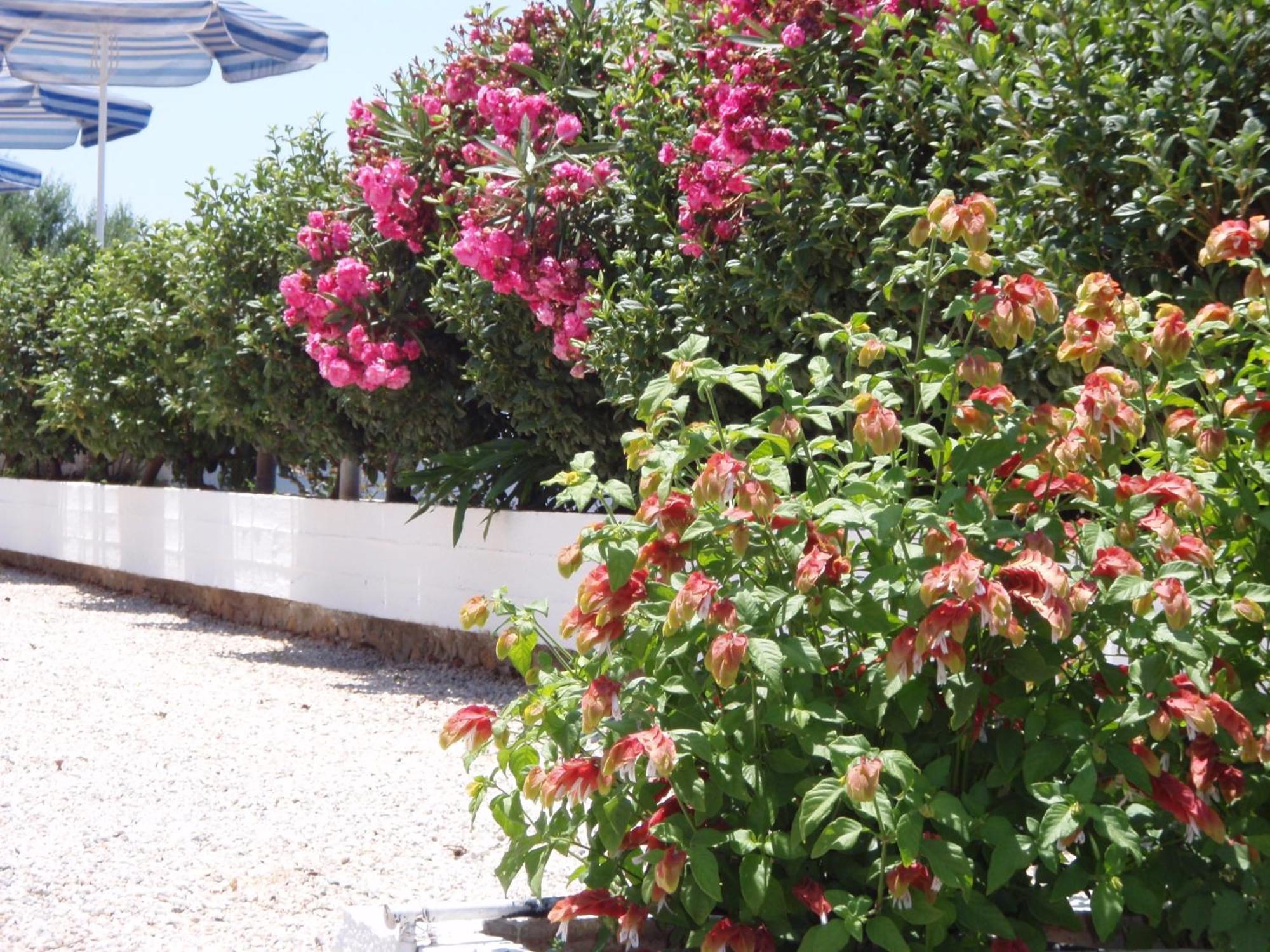 Villas Michalis Chorafakia Exterior foto