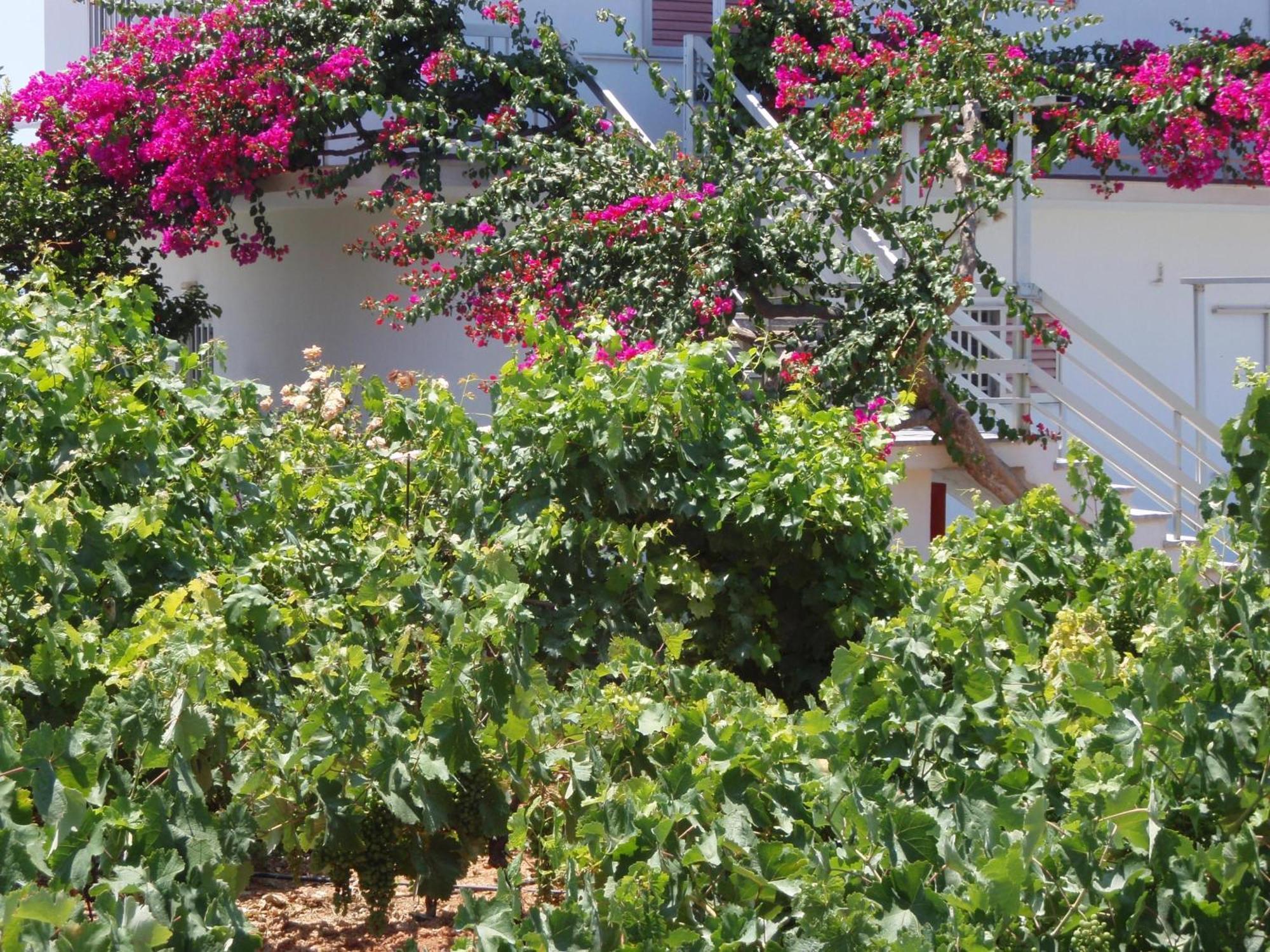Villas Michalis Chorafakia Exterior foto
